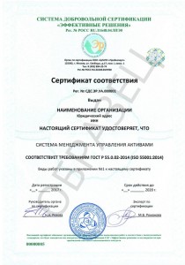 Образец ГОСТ Р 55.0.02-2014 (ISO 55001:2014)